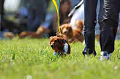 050918_sports_A-0113_thumb.png