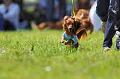 050918_sports_A-0114_thumb.png