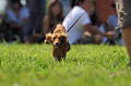 050918_sports_A-0115_thumb.png