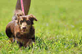 050918_sports_A-0117_thumb.png