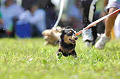 050918_sports_A-0118_thumb.png