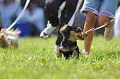 050918_sports_A-0119_thumb.png