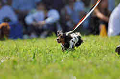 050918_sports_A-0122_thumb.png