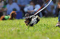 050918_sports_A-0123_thumb.png