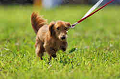 050918_sports_A-0130_thumb.png
