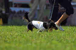 050918_sports_A-0133.jpg