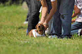 050918_sports_A-0134_thumb.png