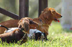 050918_sports_A-0135.jpg