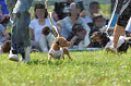 050918_sports_A-0138_thumb.png