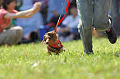 050918_sports_A-0147_thumb.png