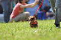 050918_sports_A-0148_thumb.png