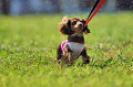 050918_sports_A-0153_thumb.png