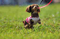 050918_sports_A-0154_thumb.png