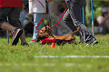 050918_sports_A-0155_thumb.png