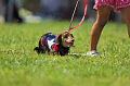 050918_sports_A-0158_thumb.png