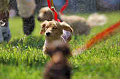 050918_sports_A-0162_thumb.png