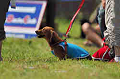 050918_sports_A-0165_thumb.png