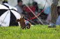 050918_sports_A-0166_thumb.png