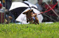 050918_sports_A-0167_thumb.png