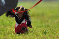 050918_sports_A-0170_thumb.png