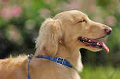 050918_sports_A-0188_thumb.png