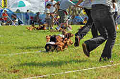 050918_sports_A-0229_thumb.png