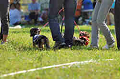 050918_sports_A-0230_thumb.png