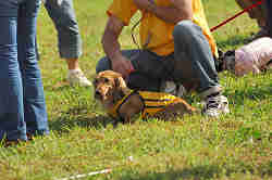 050918_sports_A-0243.jpg