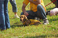 050918_sports_A-0243_thumb.png