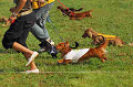 050918_sports_A-0250_thumb.png