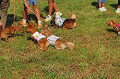 050918_sports_A-0254_thumb.png