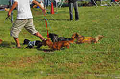 050918_sports_A-0256_thumb.png