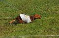 050918_sports_A-0260_thumb.png