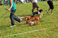 050918_sports_A-0262_thumb.png
