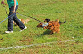050918_sports_A-0263_thumb.png