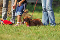 050918_sports_A-0266_thumb.png