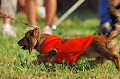 050918_sports_A-0271_thumb.png