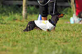 050918_sports_A-0277_thumb.png