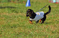 050918_sports_A-0282_thumb.png