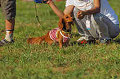 050918_sports_A-0284_thumb.png