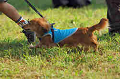 050918_sports_A-0291_thumb.png