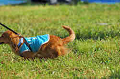 050918_sports_A-0292_thumb.png