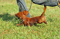 050918_sports_A-0294_thumb.png
