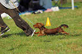050918_sports_A-0297_thumb.png