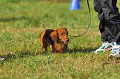050918_sports_A-0308_thumb.png