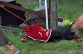 050918_sports_A-0312_thumb.png