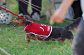 050918_sports_A-0313_thumb.png