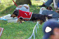 050918_sports_A-0315_thumb.png