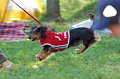 050918_sports_A-0316_thumb.png