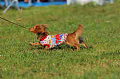 050918_sports_A-0324_thumb.png